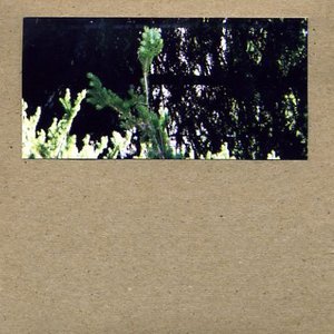 vinculum