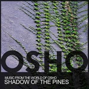 Shadow of the Pines