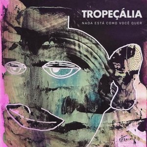 Nada Está Como Você Quer