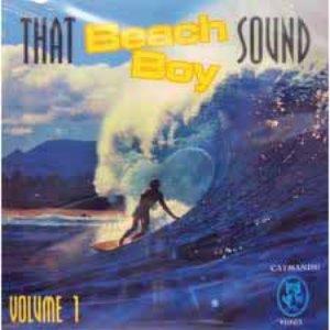 That Beach Boy Sound