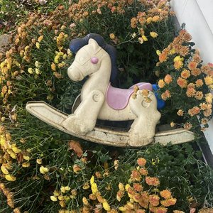 Garden - Single
