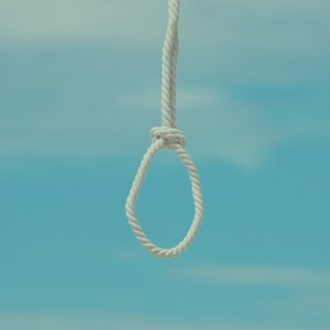 ЦЕ ЛІТО