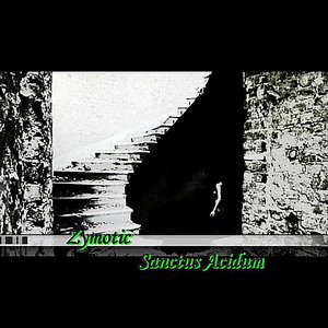 Sanctus Acidum