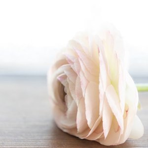 それきり