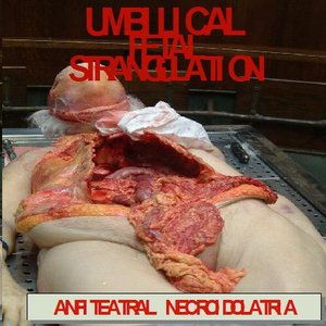 Anfiteatral Necroidolatria