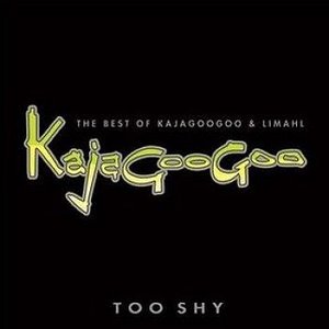 2 Shy - The Best of