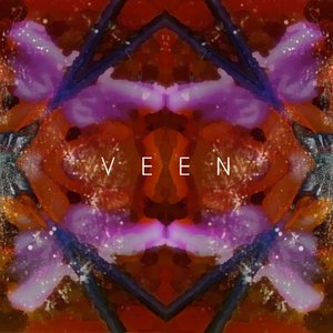 Image for 'V E E N'