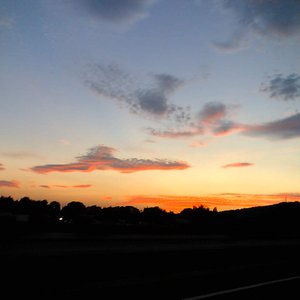 Nature sound - Mizunami - Insects of autumn01