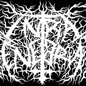 Intra Tenebrae 的头像