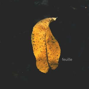 Feuille