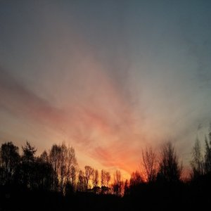 The Sky Needs No Light From Us