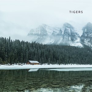 TIGERS