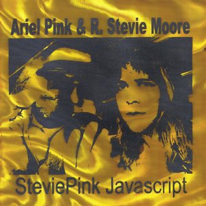 SteviePink Javascript