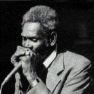 Big Walter Horton's Blues Harp Band için avatar