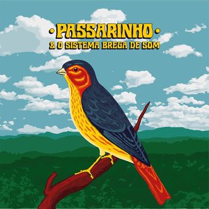 Passarinho & O Sistema Brega de Som 的头像