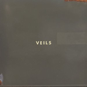 Vanessa Carlton - Veils - Zortam Music