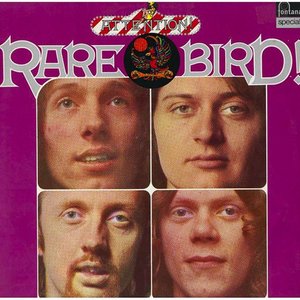 Attention! Rare Bird!