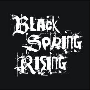 Avatar for Black Spring Rising