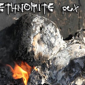 Ethnomite Pux 的头像