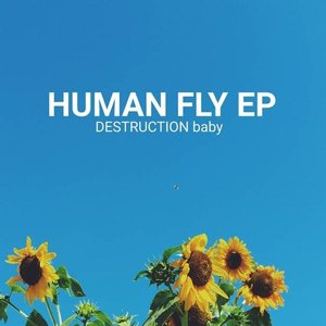 Human Fly