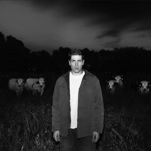 The Cattle - Single