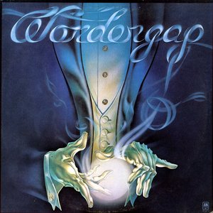 Wondergap