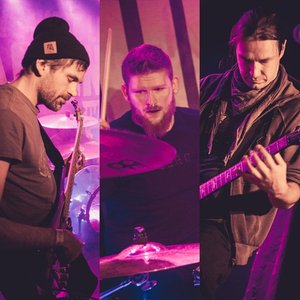 Camel Driver 的头像