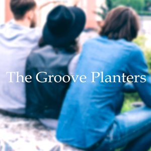 The Groove Planters