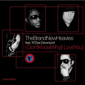 I Don’t Know Why I Love You - The Mixes