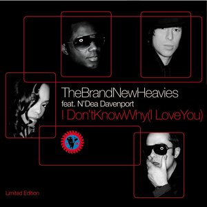 I Don’t Know Why I Love You - The Mixes