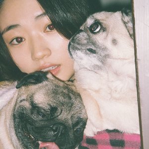 にしな 的头像
