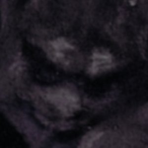 Dominus Exitium