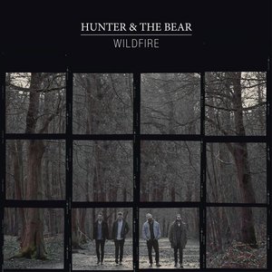 Wildfire