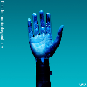 Don%27t hate me for the good times | 8WS Lyrics, Meaning & Videos