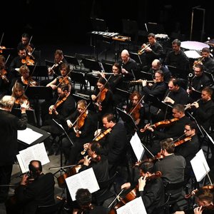 Avatar för Симфонический оркестр Мариинского театра