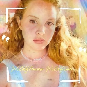 Wildflower Wildfire - Single