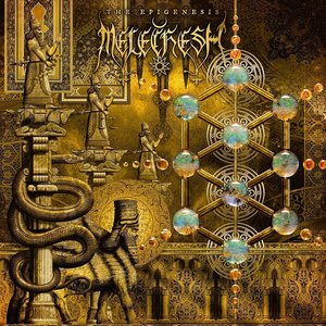 The Epigenesis