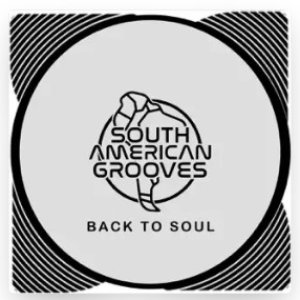 Disco Incorporated - Back to Soul - Zortam Music