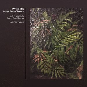 Voyage Beyond Surface