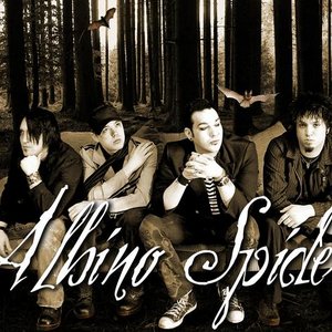 Albino Spiders 的头像