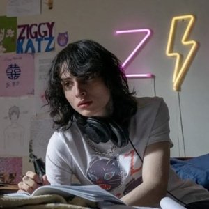 Ziggy Katz 的头像