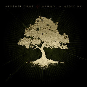 Artwork for The Wolf On The Mountain