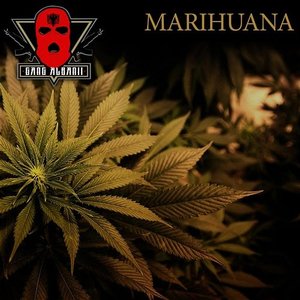 Marihuana