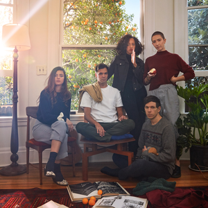 The Dirty Projectors