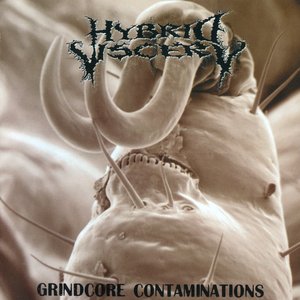 Grindcore Contaminations