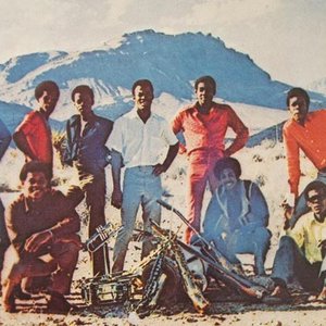 Willie & the Mighty Magnificents 的头像