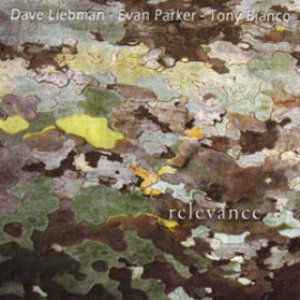 Dave Liebman / Evan Parker / Tony Bianco 的头像