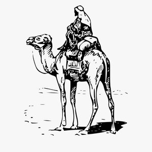 Silk Road (Barely Sociable Song)