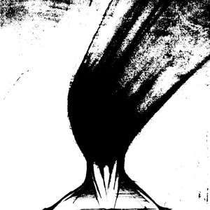 notexist 的头像