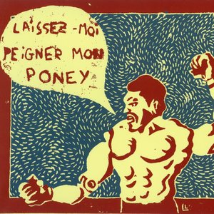 Laissez-moi peigner mon poney